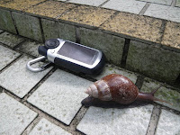 IMGP2043.JPG Photo
