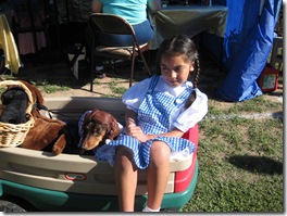 dorothywiener