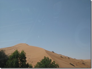 IMG_0431 IMG_0431