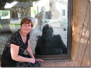 IMG_0464 IMG_0464
