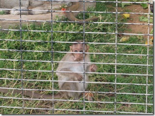 IMG_0470 IMG_0470