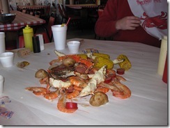 IMG_0252 IMG_0252