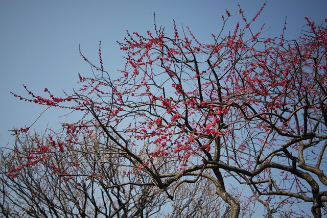 [IMG_30398.jpg]