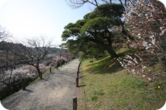 IMG_3013 IMG_3013