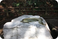 IMG_2992 IMG_2992