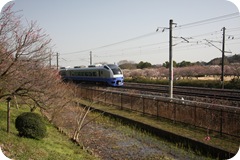 IMG_3003 IMG_3003