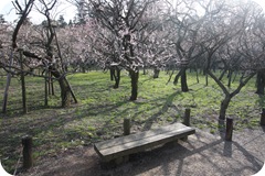 IMG_3049 IMG_3049
