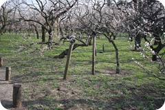 IMG_3067 IMG_3067