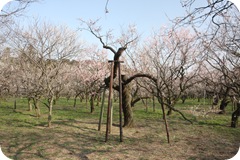 IMG_3080 IMG_3080