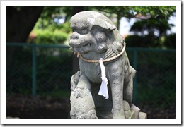 IMG_4235 IMG_4235