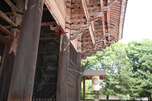 [IMG_44571.jpg]