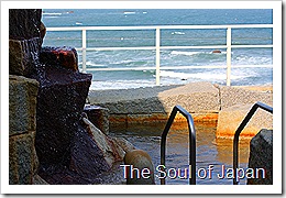 IMG_5552 IMG_5552