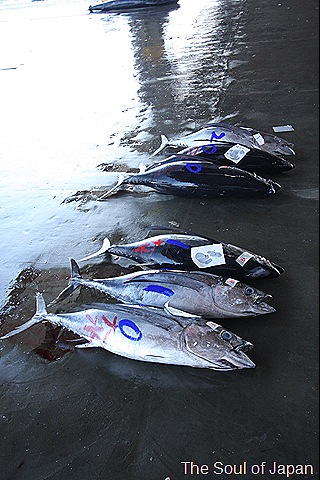 [IMG_56635.jpg]