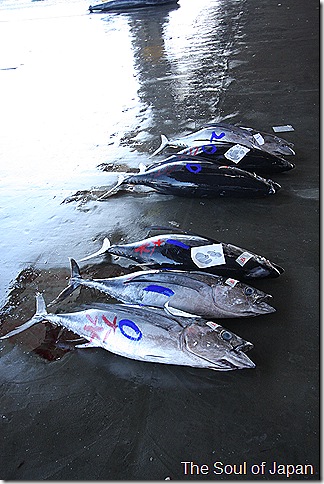 IMG_5663 IMG_5663