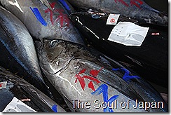 IMG_5680 IMG_5680