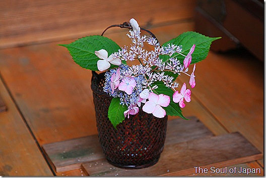 IMG_7718 IMG_7718