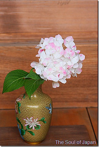 IMG_7721 IMG_7721