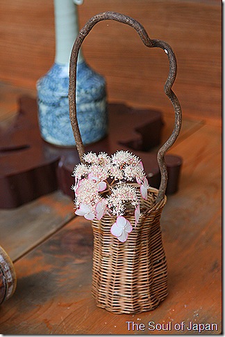 IMG_7722 IMG_7722
