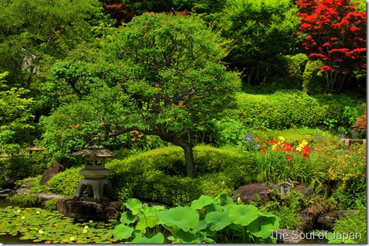 garden2 garden2