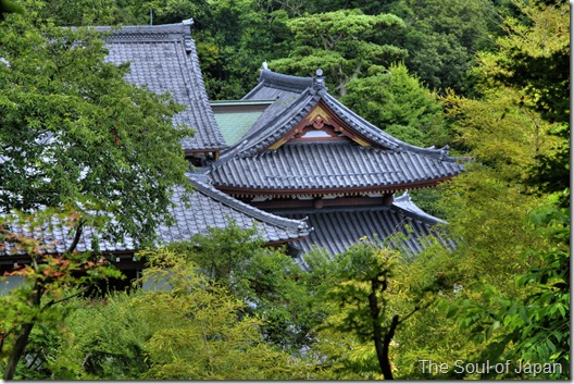 temple top1 temple top1