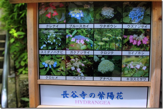 chart chart
