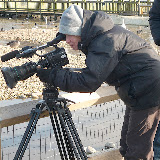 © Karen Partridge. WWT Slimbridge January 2011
