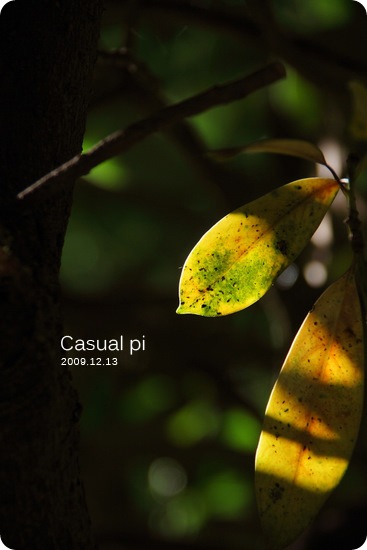 DPP_0016