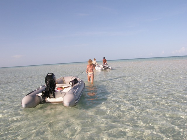 [P61300872.jpg]