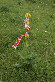 Swiss Jura Marathon 2009
