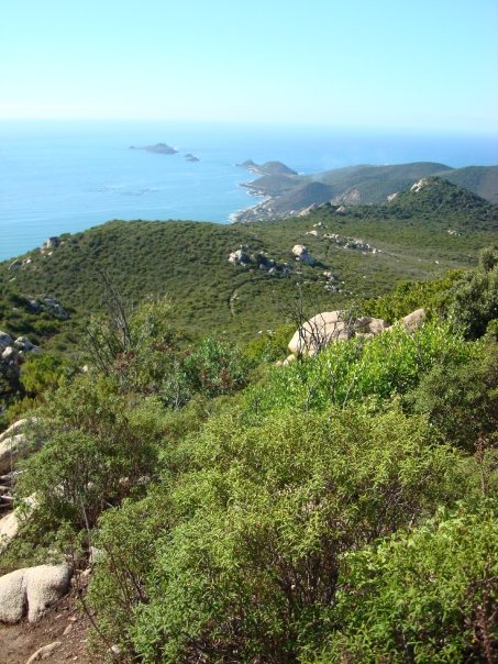 Corsica coast race
