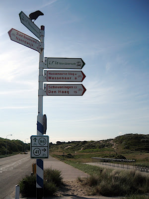 sorties à vélo