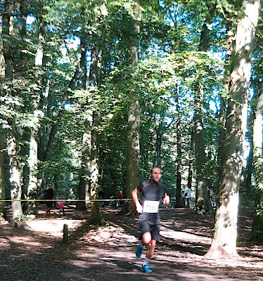 courses d'automne