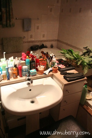 IMG_1356 IMG_1356
