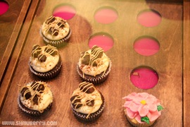 IMG_1381 IMG_1381