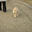 DSC02413.JPG