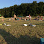 kamp etc 064.jpg