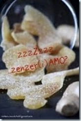 banner zenzero banner zenzero