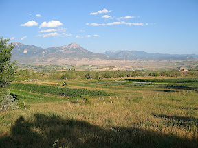 looking back at the field from near the end