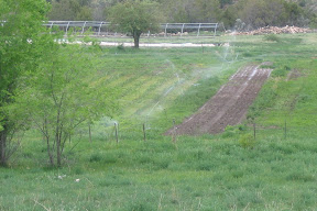 View down to the field from the ditch. carrots in the wet beds.