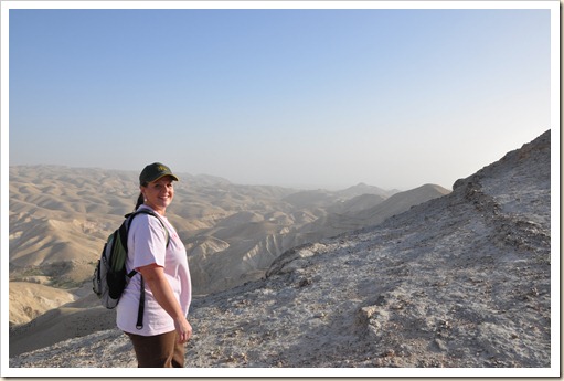 The Rolling Hills of the Wadi Qilt