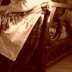 DSCN0598.jpg