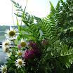 DSCN0919.jpg