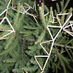 DSCN2231.jpg