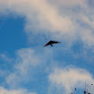 DSCN3779.JPG