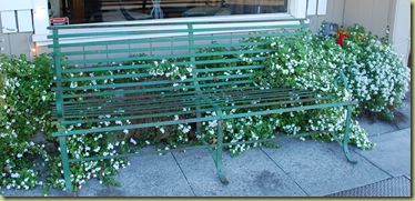 south side bench