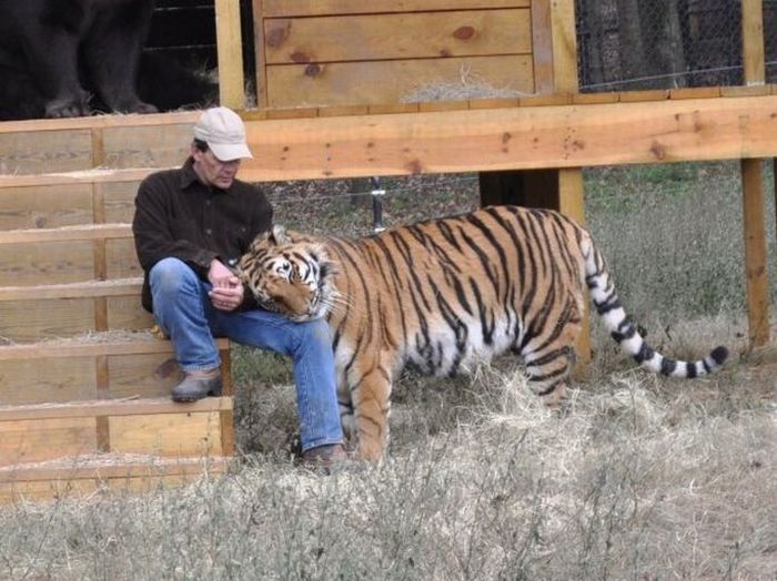 [unusual_friendship_02.jpg]