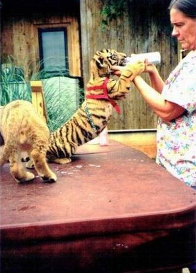 [unusual_friendship_06.jpg]