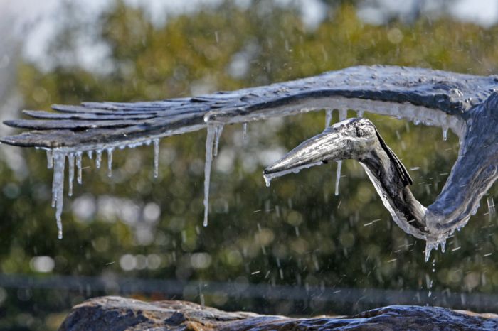 [frost_in_florida_06.jpg]