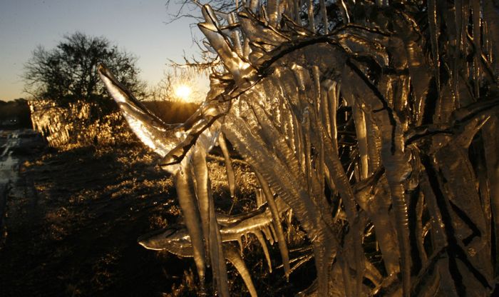 [frost_in_florida_04.jpg]