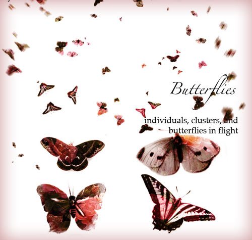 Butterflies Photoshop brushes nicegfx.com